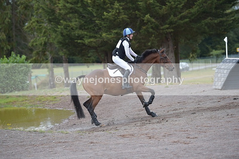 NGP_2910 - XC Time 11:37 to 11:57