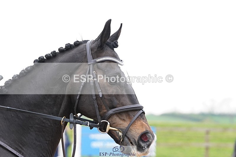 250419-125428-10919 - 623-Shan.Cothi-LAUGHARNE