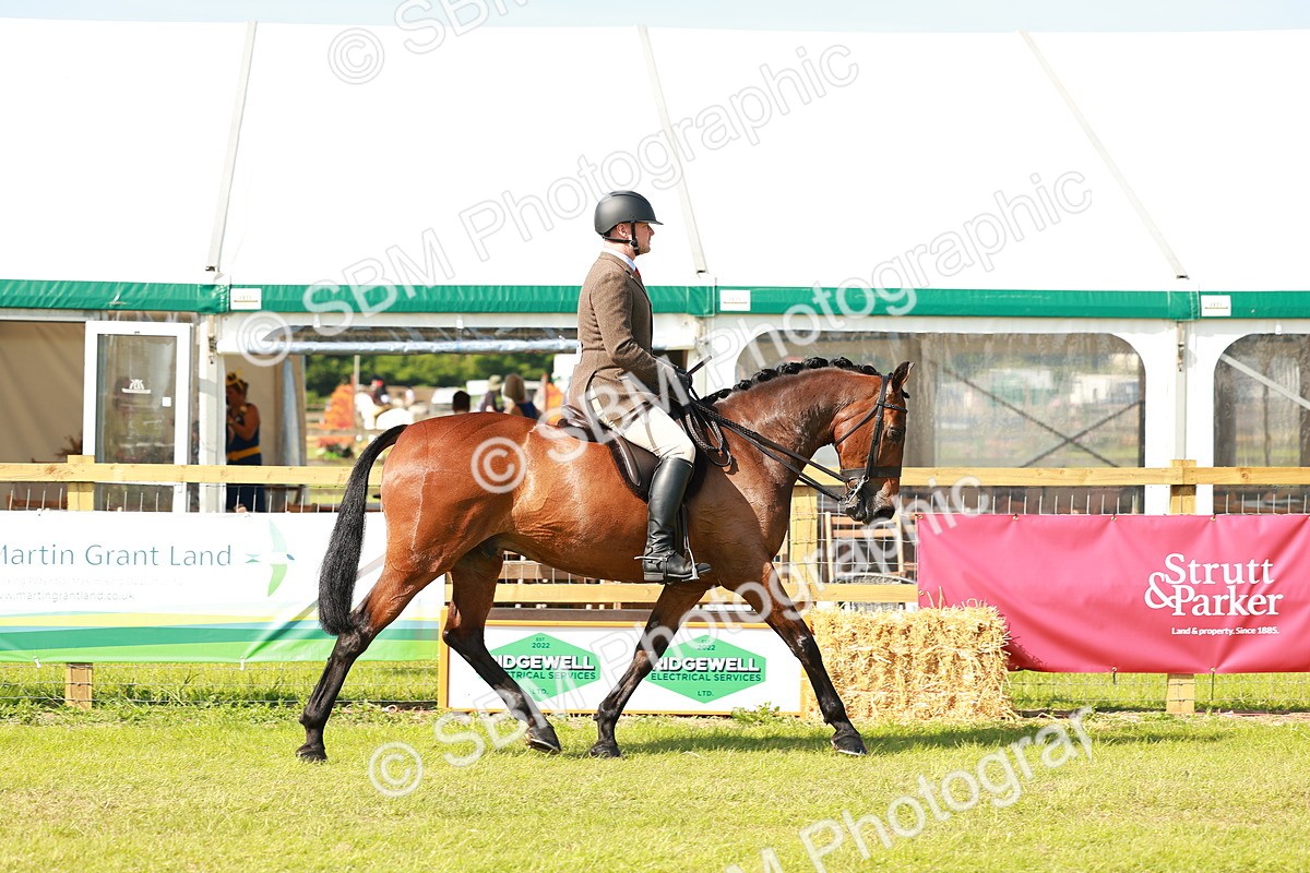 SBM_12012 - Class 66-69 - RIHS Ridden Hunters Inc Small Hunter