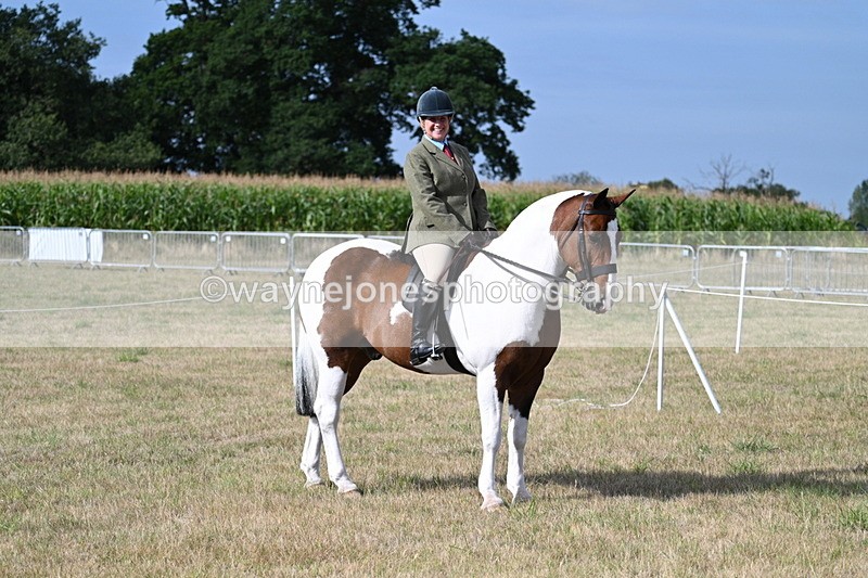 WJ7_2592 - Class 8 Ridden Tack & Turnout