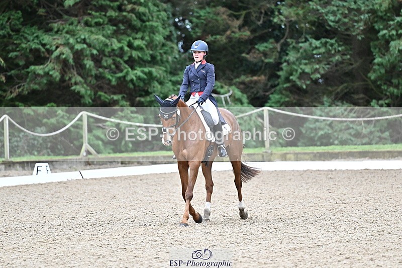 251022A-145120-00144 - C-206-Madison.Tapner