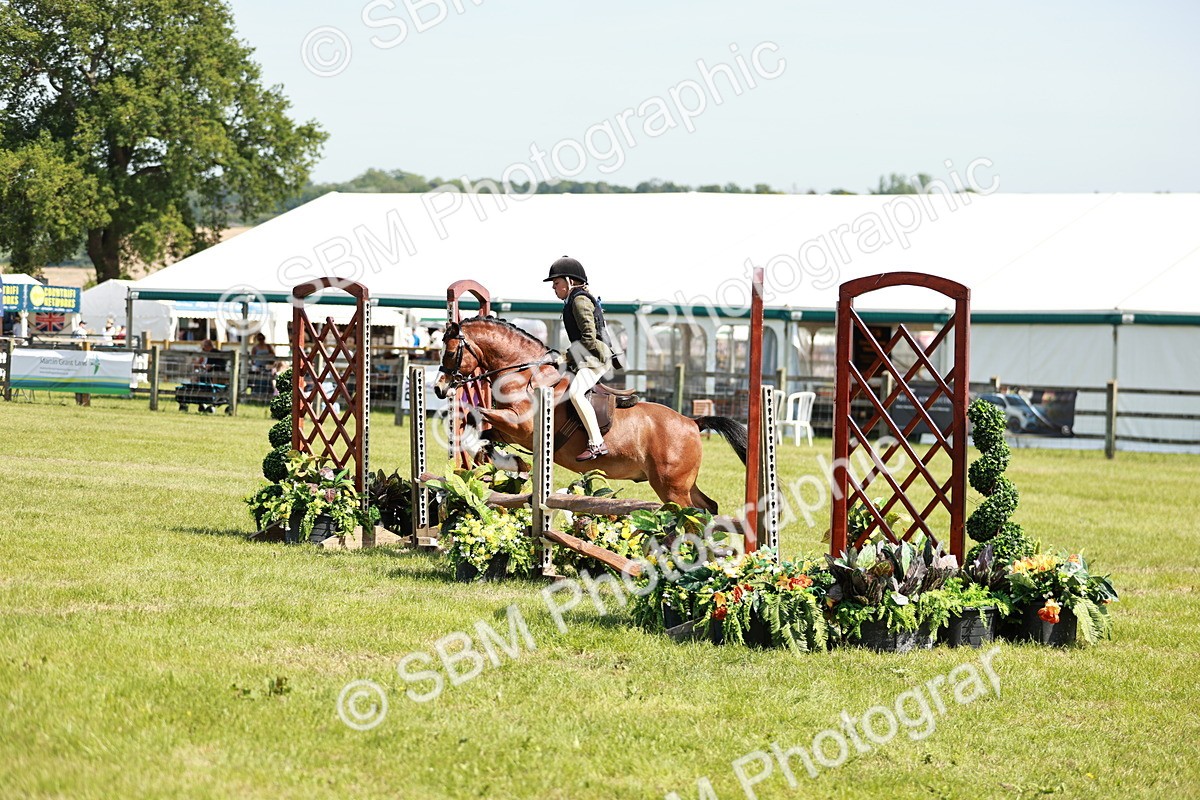 SBM_13559 - Class 108-109 - BSPS LIHS Open Gradle & Nursery Stakes