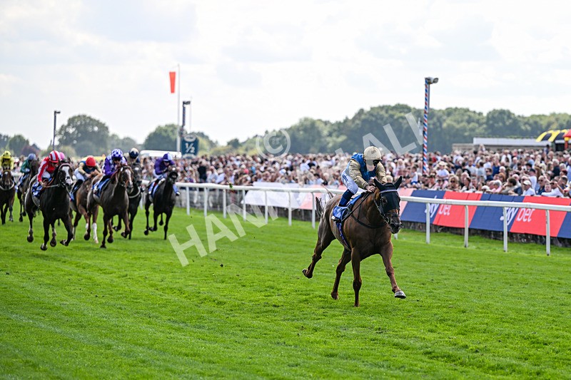 220826-Race 1-Archivist-9230 - Race 1 13.50pm Sky Bet Strensall Stakes