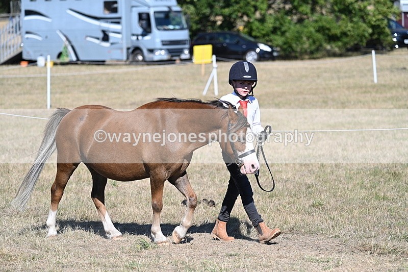 WJ7_2068 - Class 44 Child's Best Friend