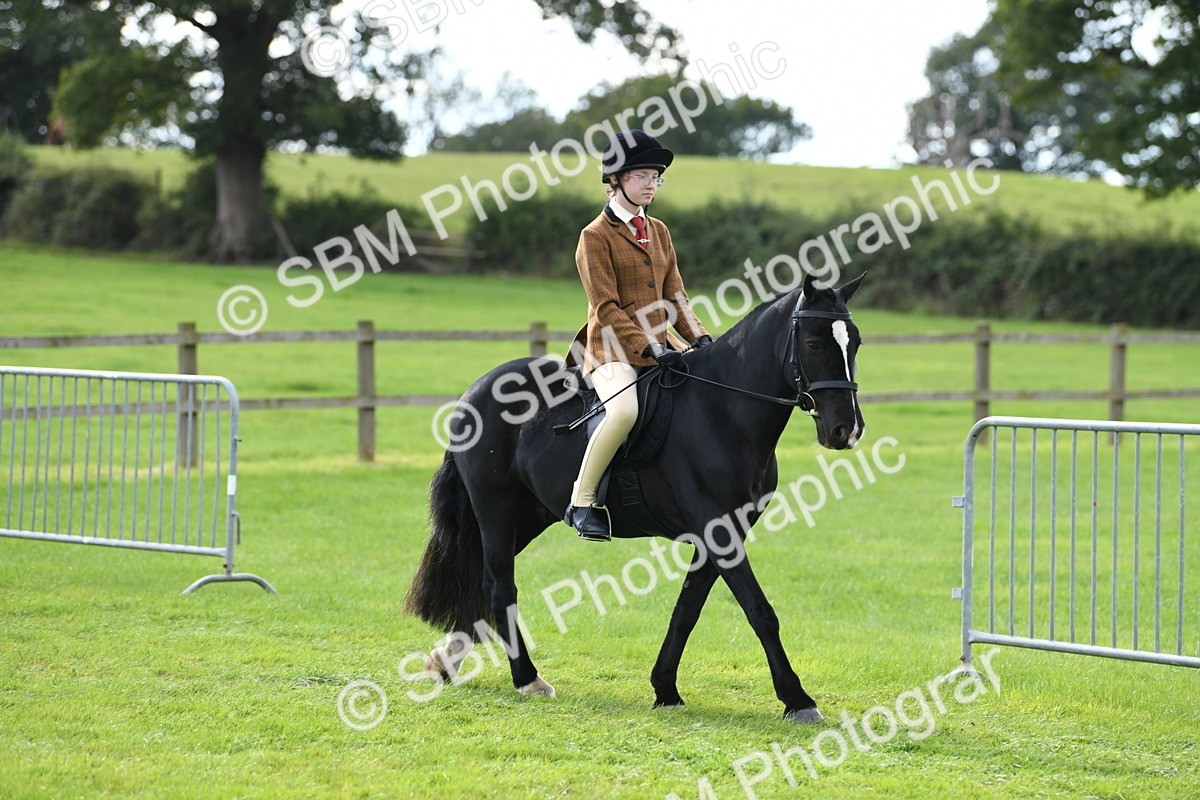 SBM_46688 - S12 - Family Horse & Pony