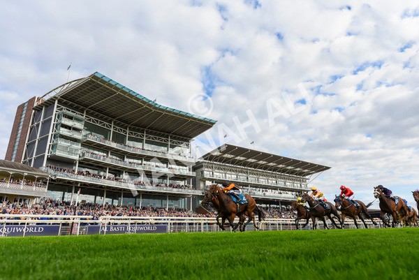 230923-Race 4-Aphelios-3266 - Race 4 3.45pm Jigsaw Sports Branding Handicap