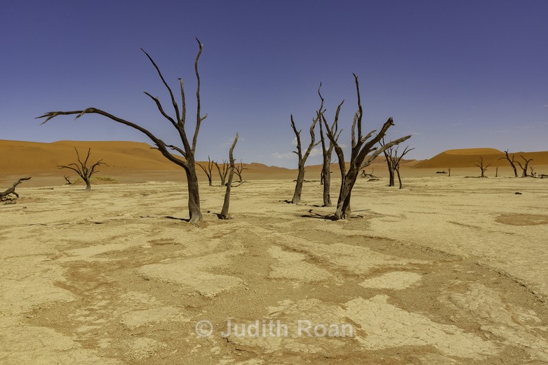 Dead Pan, Namibia - Namibia 2022