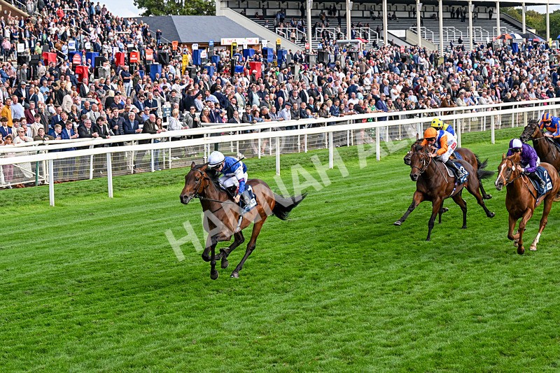 210826-Race 6-Benjamin Hornigold-0377 - Race 6 16.45pm British Stallion Studs EBF Convivial Maiden Stakes