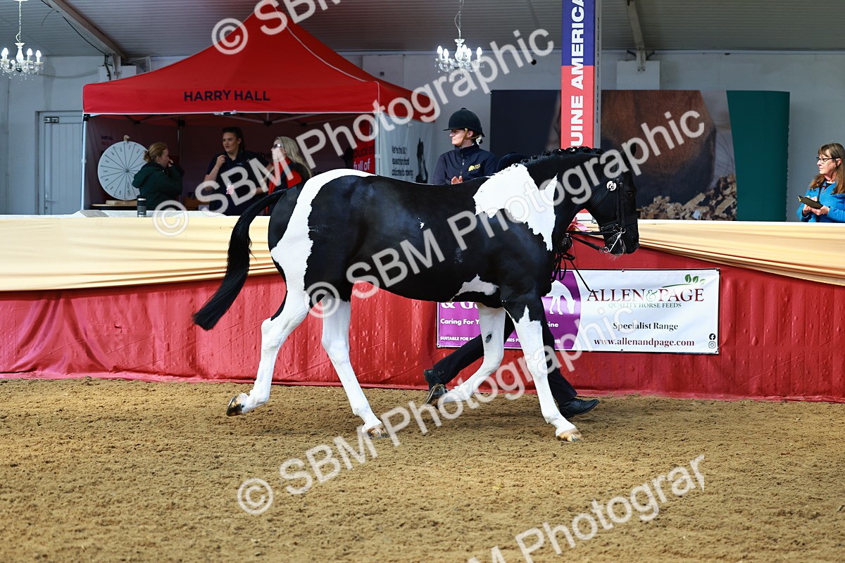 SBM_23305 - Class 903 - Supreme Final - IH Pre Vet