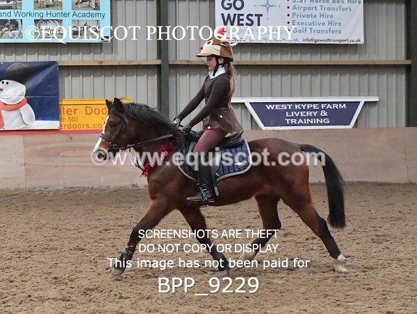 BPP_9229 - CLASS 4 50CM Novice Show Jumping