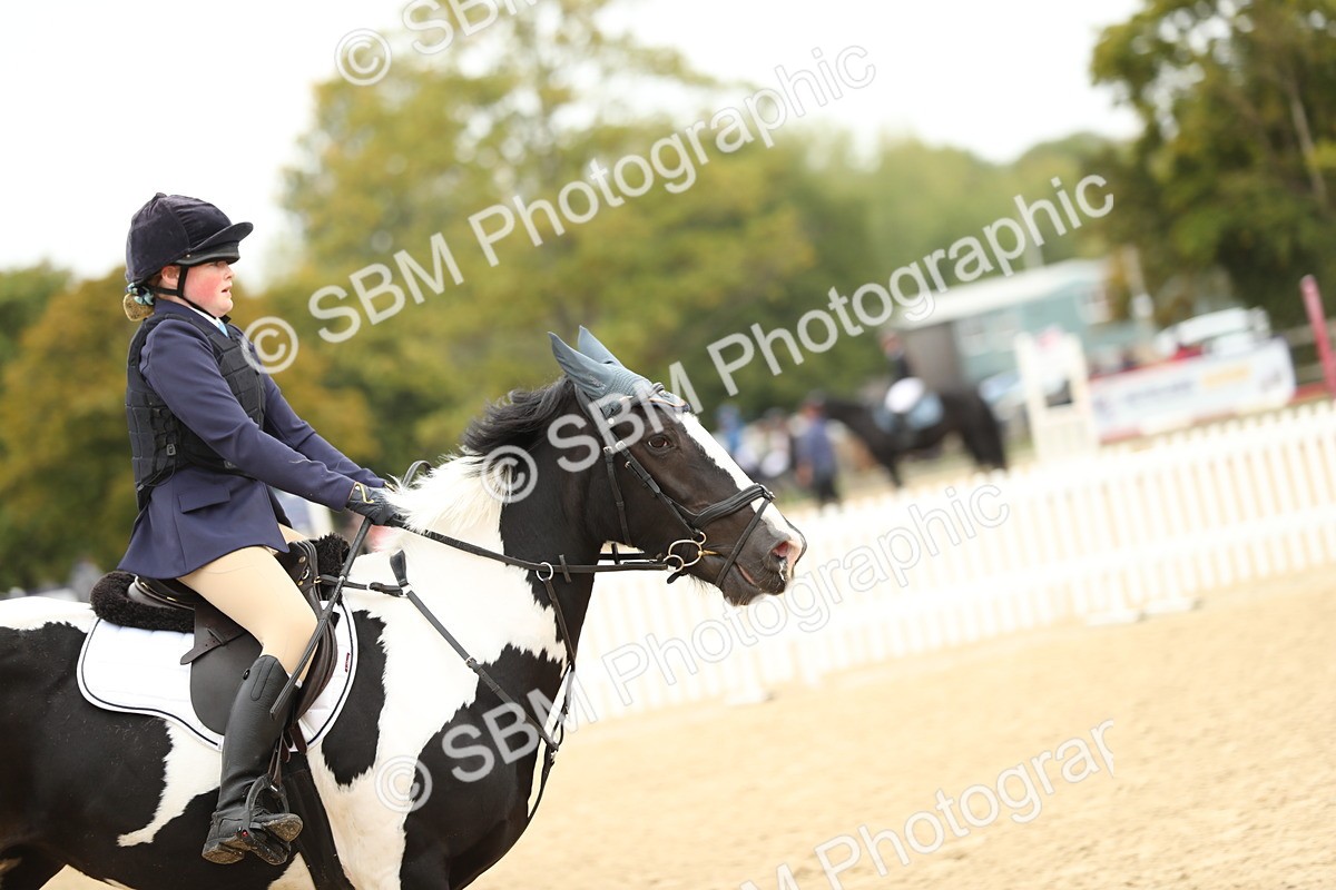 SBM_59547 - J25 - Junior Horse 80cm Championship