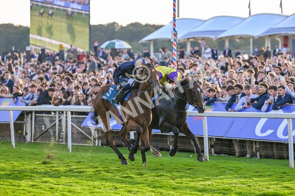 111025-Race 7-Lets Dream-9104 - Race 7 Coral 'Committed To Safer Gambling' Finale Handicap at York