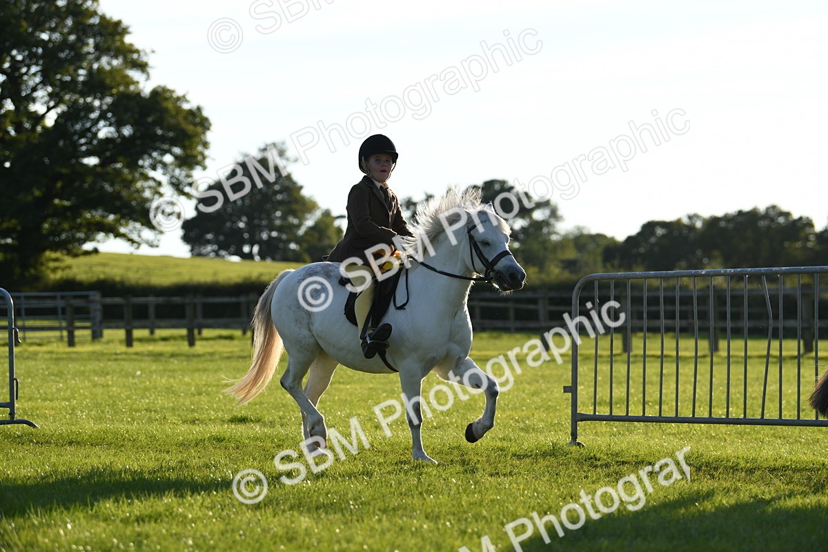 SBM_54223 - S23 - 1st Ridden Mountain & Moorland Pony