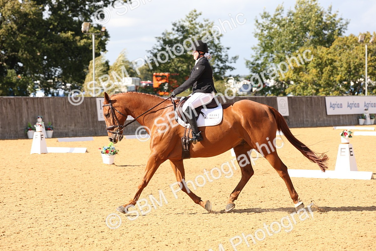 SBM_24583 - D17 - Grand Tour Championship Novice 3