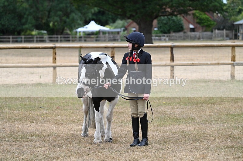 WJ7_8099 - Class 4 Prettiest Mare up to 14.2hh