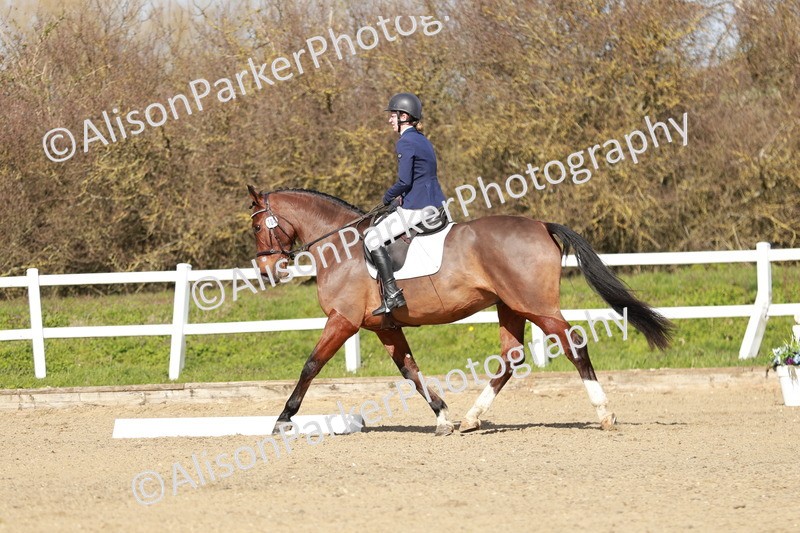 20260314-3005 - DR3 - Prelim 1