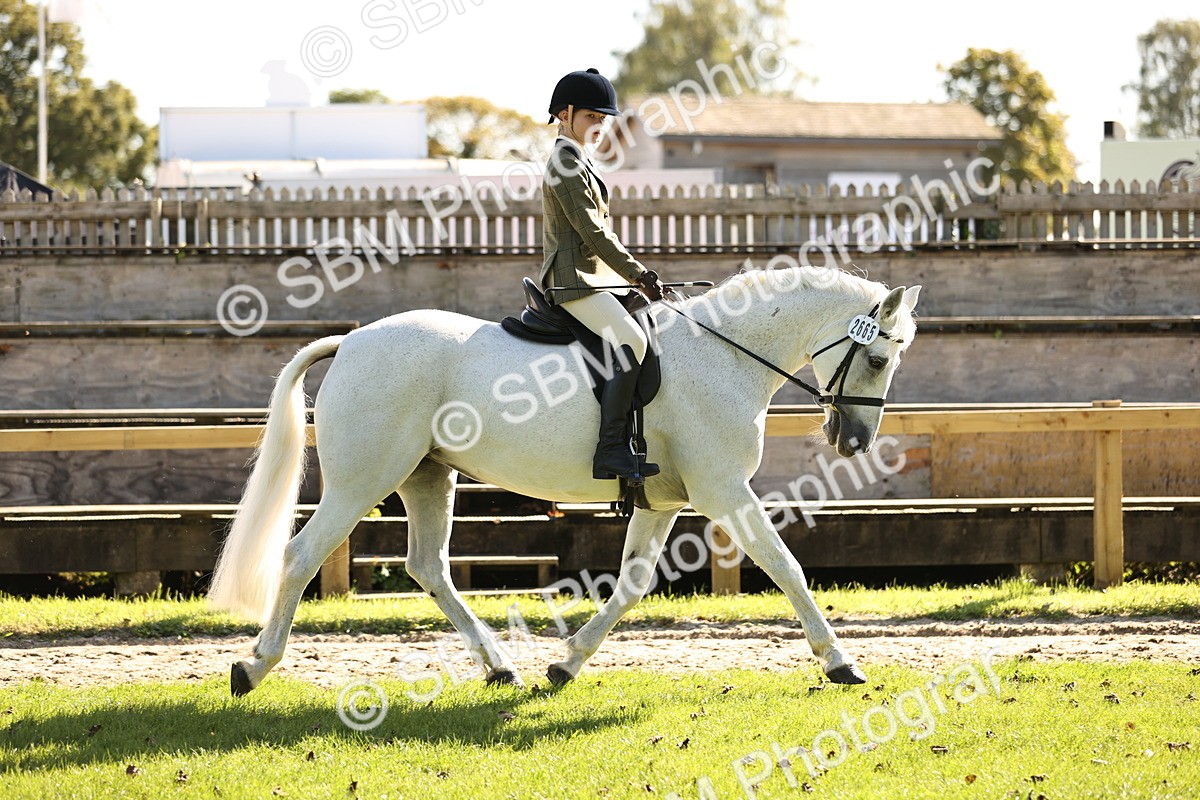 SBM_19078 - S3 - TSR Ridden Pony Showing