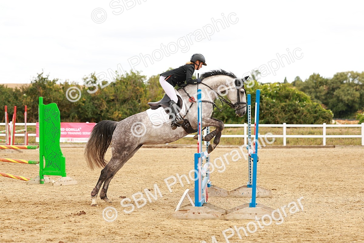 SBM_005556 - Class 2 - Senior British Novice - 90cm