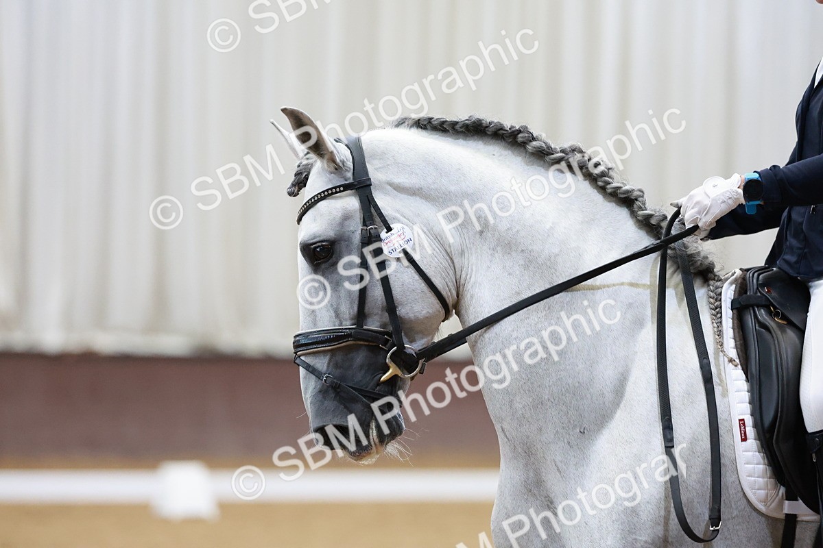 SBM_005552 - Class 3 - Medium 6 - 14.40-15.52