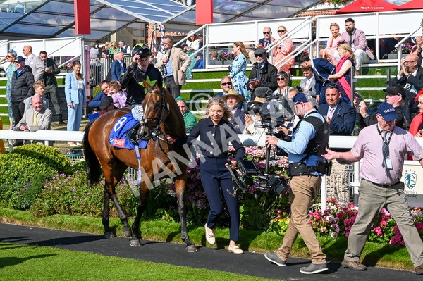 240824-Race 4-Magical Zoe-1117 - Race 4 3.35pm Sky Bet Ebor Handicap