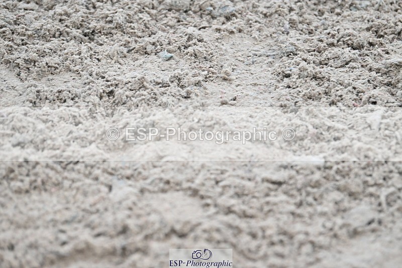 231119A-101110-04852 - Sun Cls 3 BlueChip Pony Discovery Qualifier