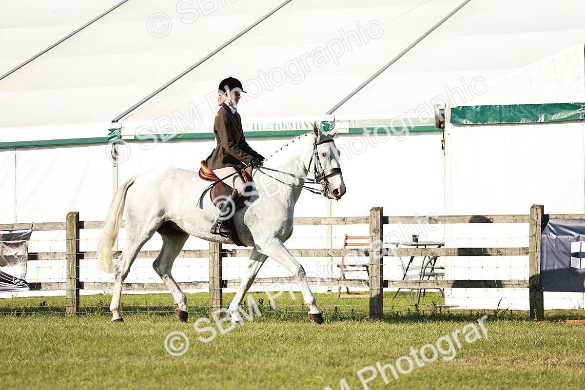 SBM_19991 - Class 115-116 - LIHS BSHA Rising Star Working Hunter & Show Horse