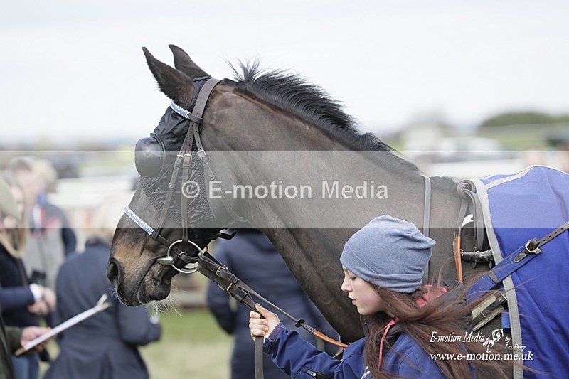 PtP 190323 375 - Oakley Hunt Point-to-Point Brafield-On-The-Green 19/03/23