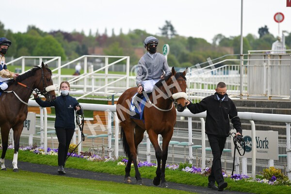 yr14052021r6-2 - Race 6 4.15pm Yorkshire Equine Practice Stakes