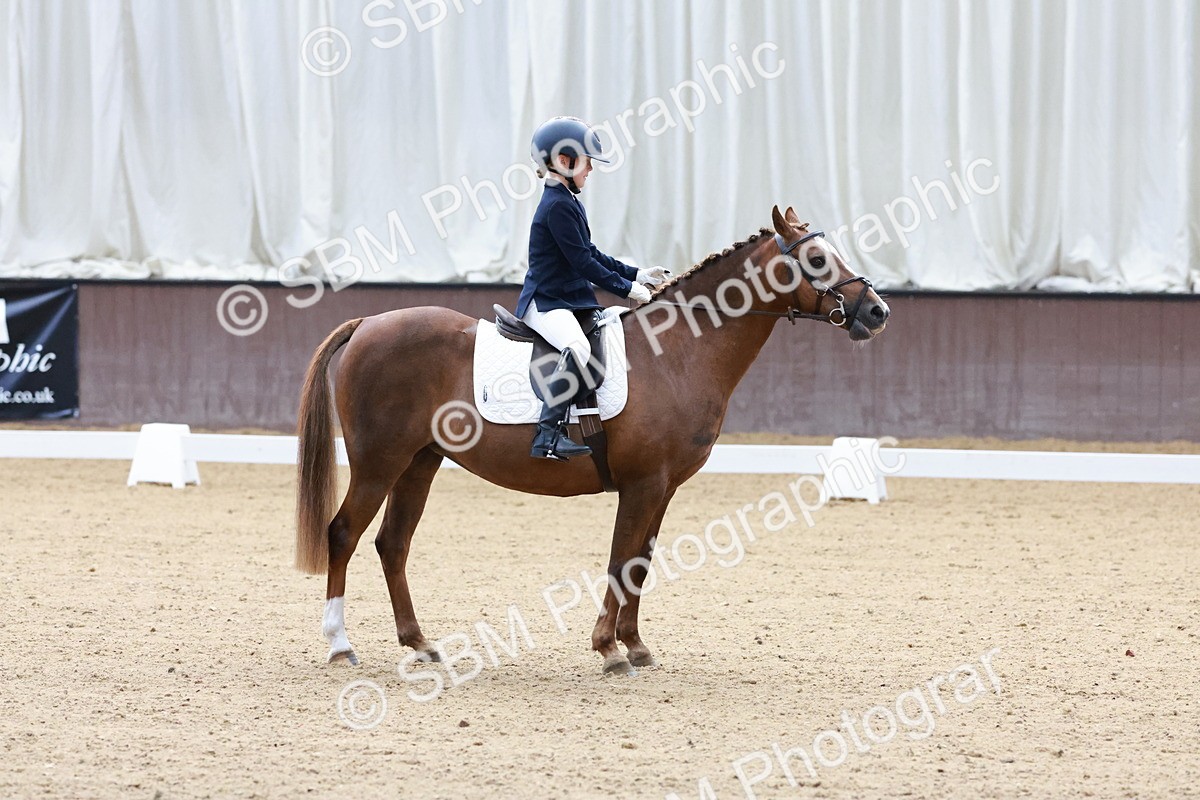 SBM_003158 - Intro 2