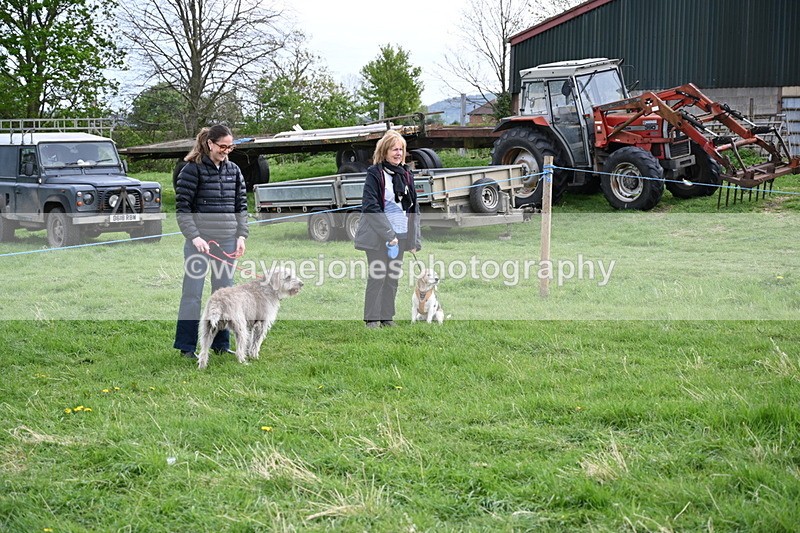 WJ6_8024 - Class 2 Best Pedigree