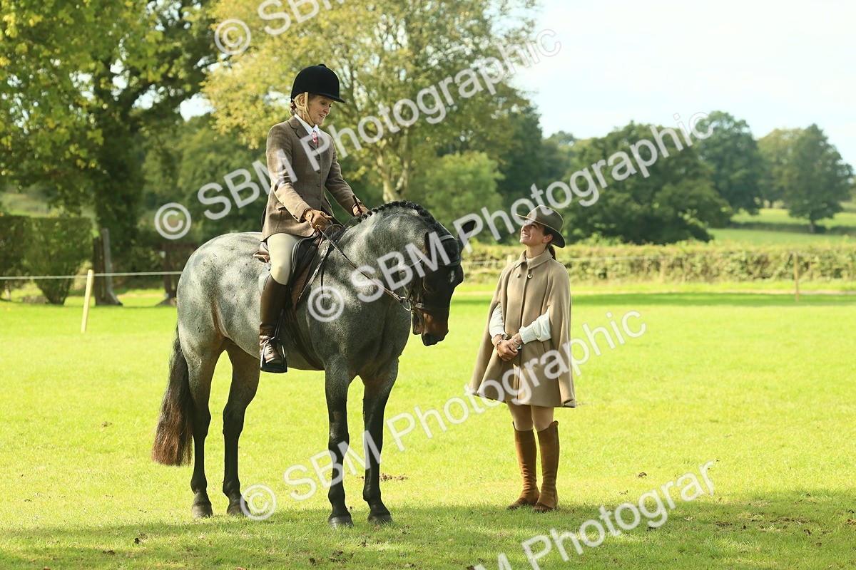 SBM_62598 - S63 - Other Coloured Horse Ridden