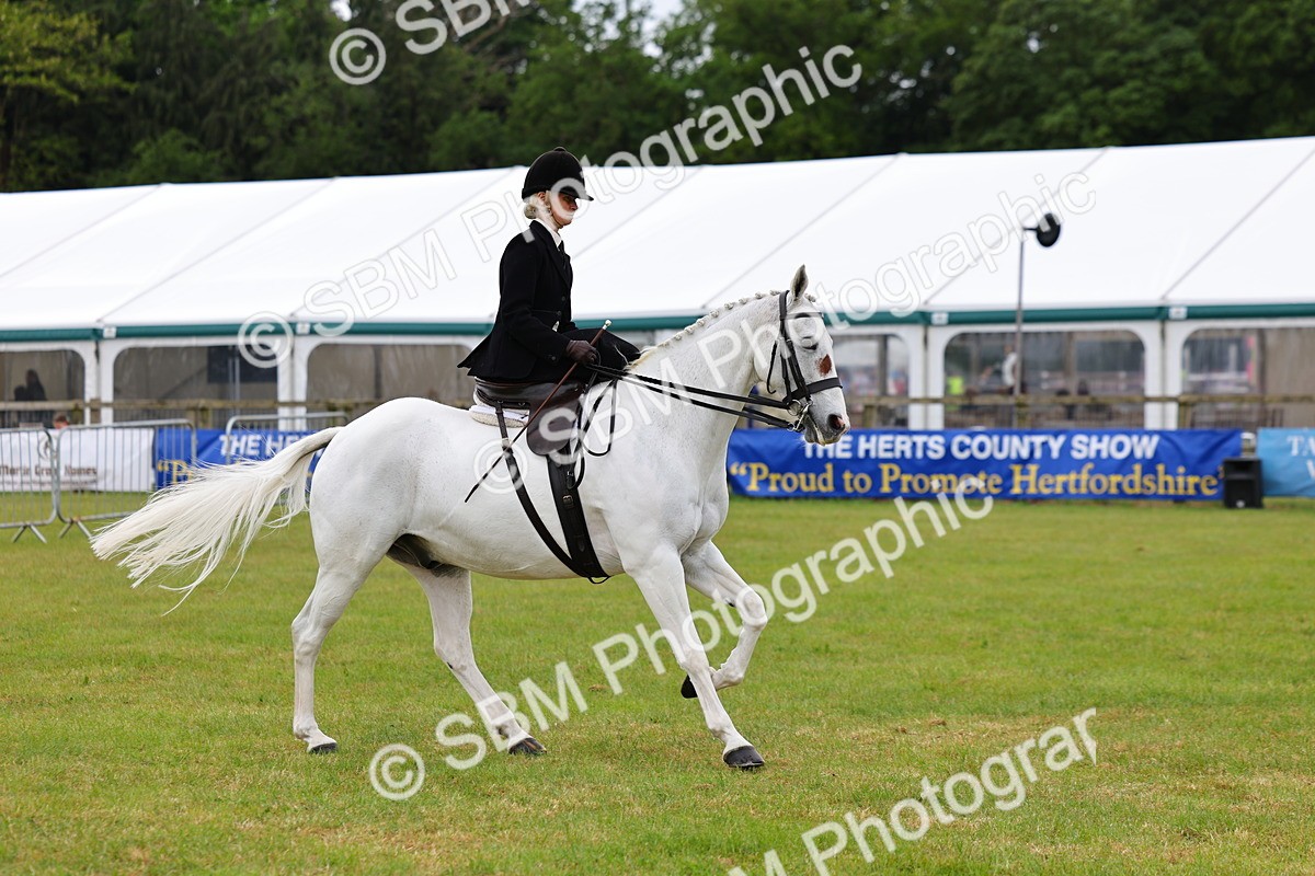 SBM_02964 - Class 9-11 Side Saddle including LIHS Rising Star Ladies Show Horse