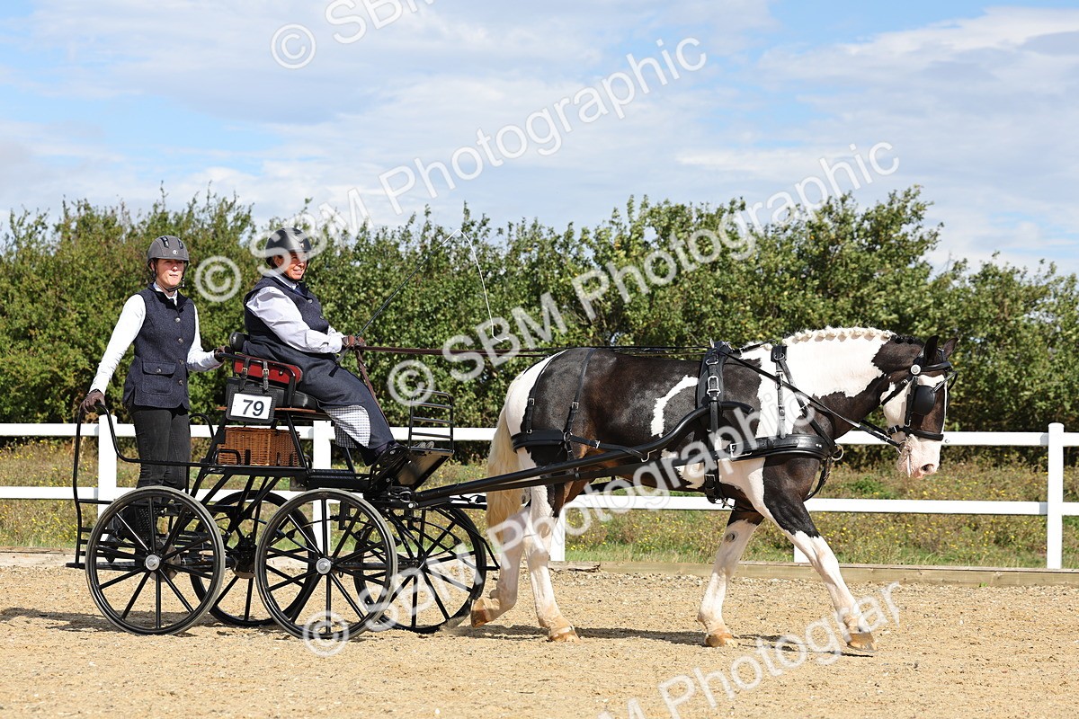 SBM_000864 - Class 8 - Novice Horse or Pony to any vehicle
