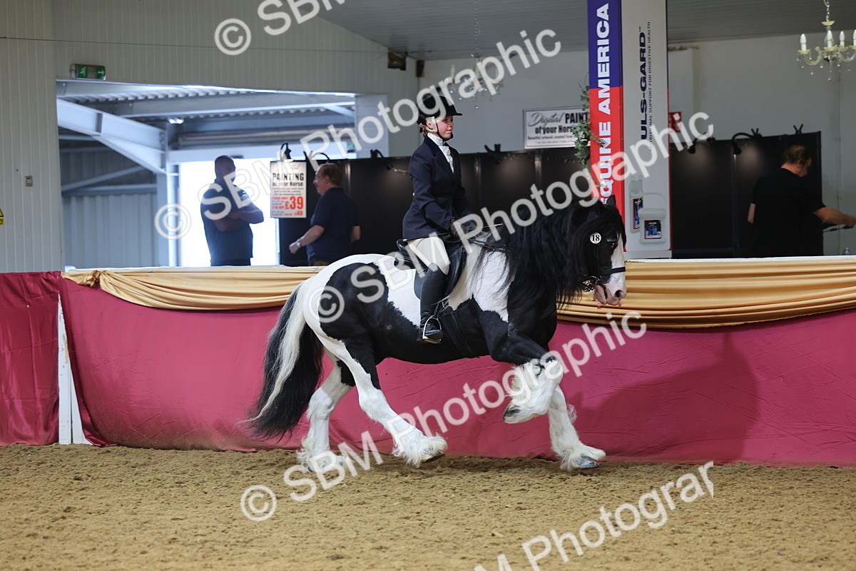 SBM_24361 - Class 906 - Supreme Final - Ridden Pre Vet