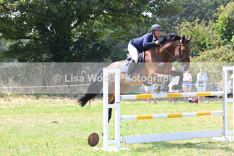 3E7A3391 - Class 10: Senior Foxhunter/1.20 open