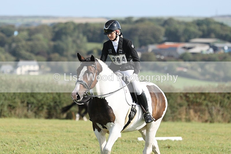 JPP_8143 - Class 2A: Trekenning Open: Dressage