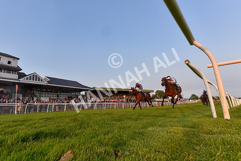 310524-Race 5-Dusk Dame-7632 - Race 5