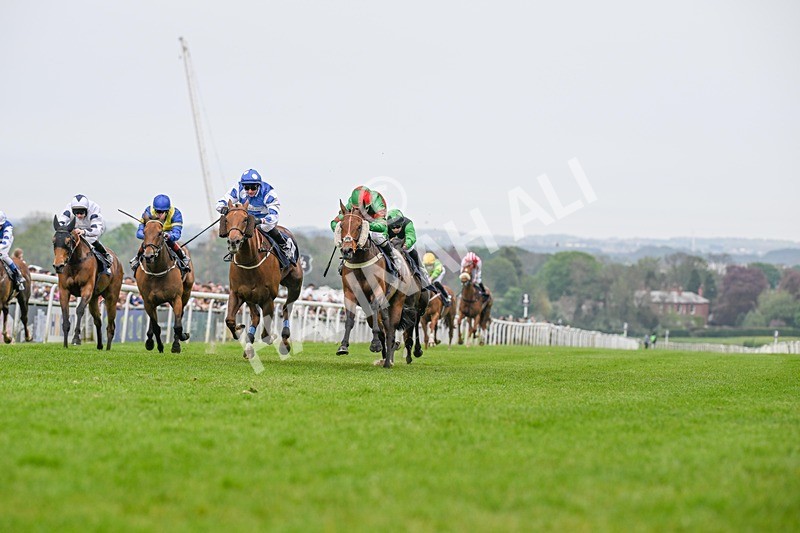 060524-Race 5-Original Thinker-2278 - Race 5