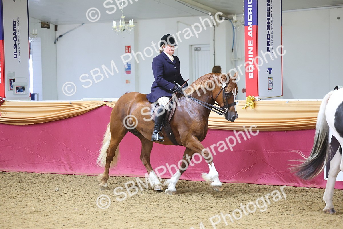 SBM_24913 - Supreme Final - Ridden Champion