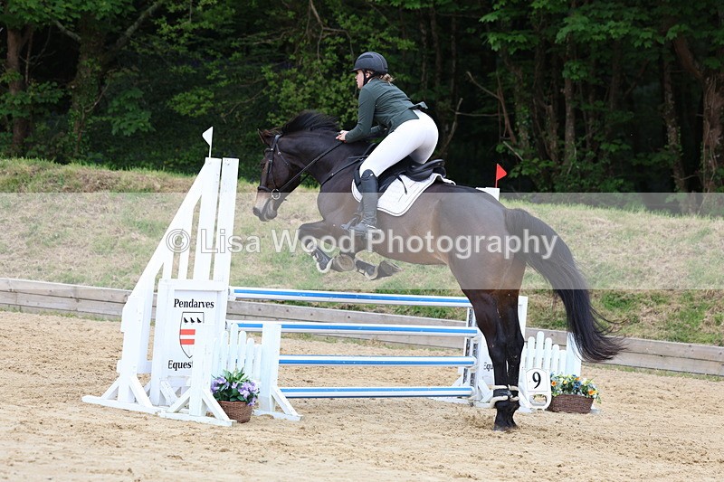 3E7A6549 - Class 4: Senior British Novice/90cm open