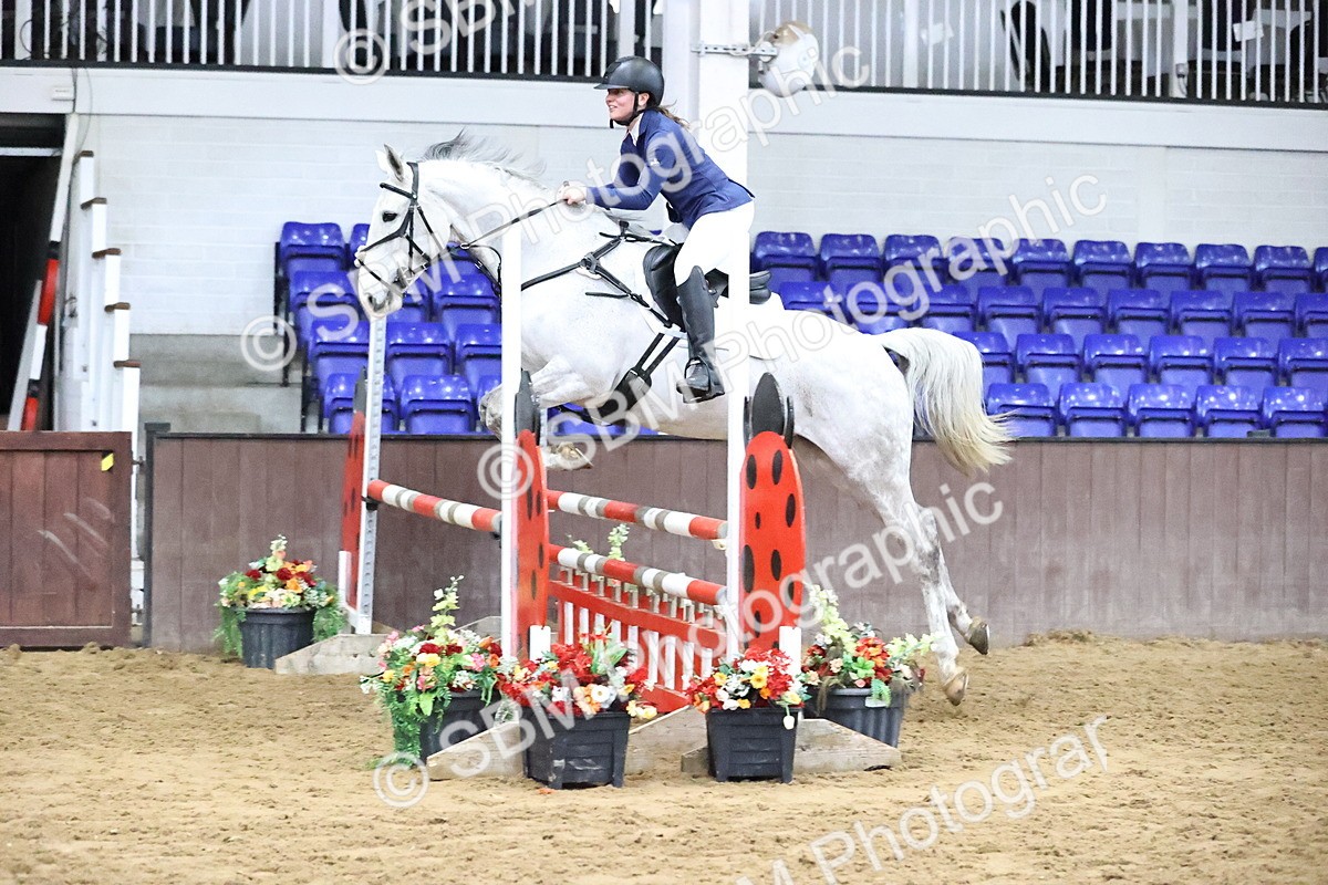 SBM_003005 - Class 14 - Senior British Novice - 90cm