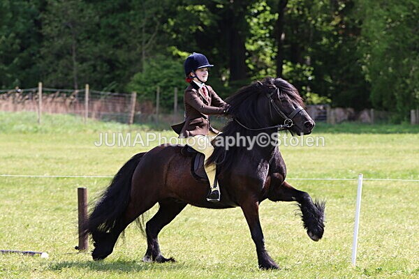 IMG_4403 - Working Hunter