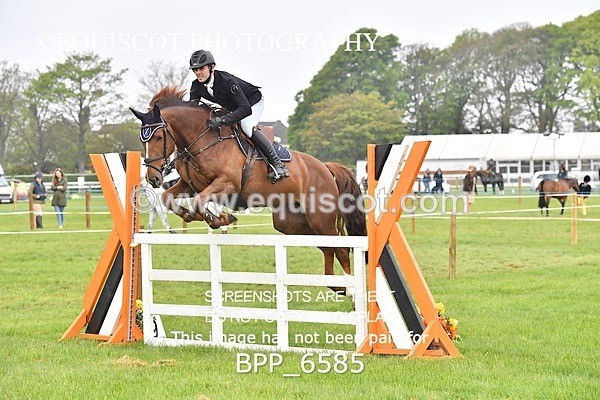 BPP_6585 - CLASS 1 Senior Newcomers/ 1.10m Open