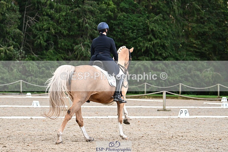 231110-153425-02239 - Cls 11 FEI PSG