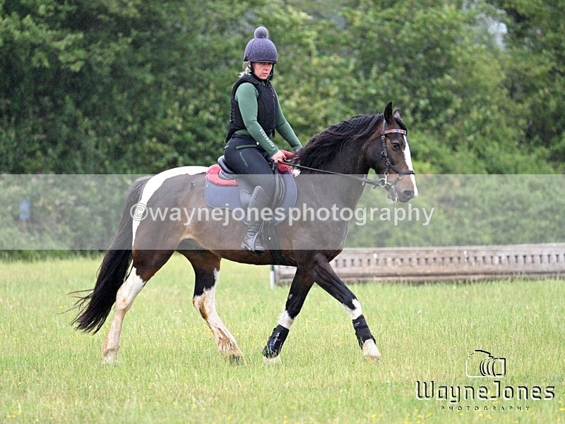 WJ7_8408 - Kellie Jade Ellie XC training with Kelly Harris 28-06-26