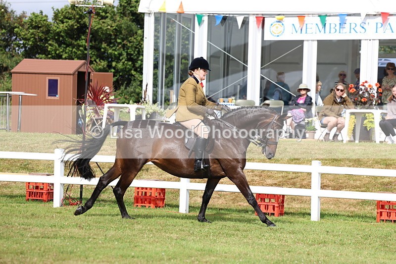 3E7A8977 - Class 3: Rising Star S/L Hunter