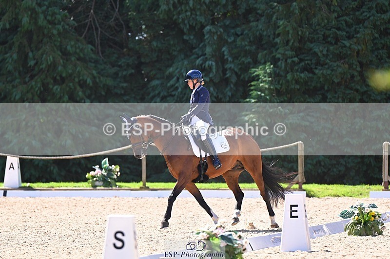 240809-111244-00521 - 133-Dawn.Bear-First.Taylor.Made