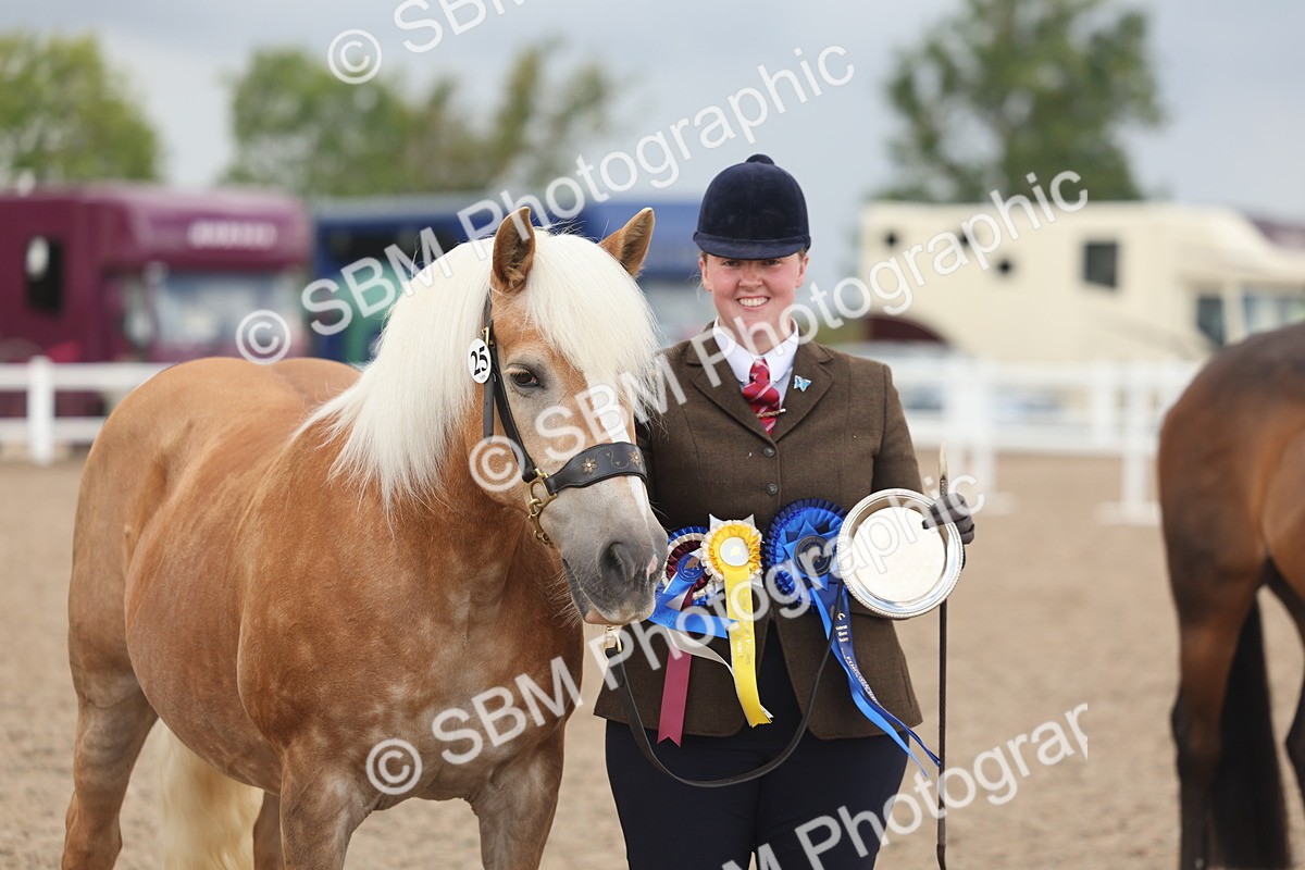 SBM_06915 - Class 25 - IH Foreign Breeds - Purebred