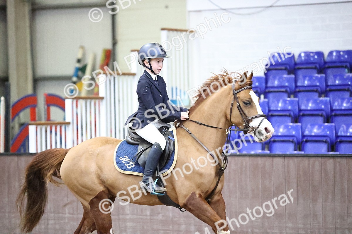 SBM_000233 - Class 2 - Pony British Novice - 80cm