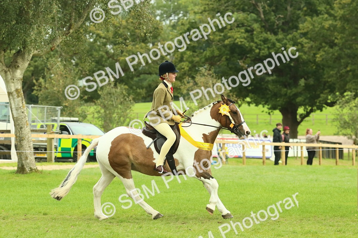 SBM_75015 - Ridden Pony Supreme Championship